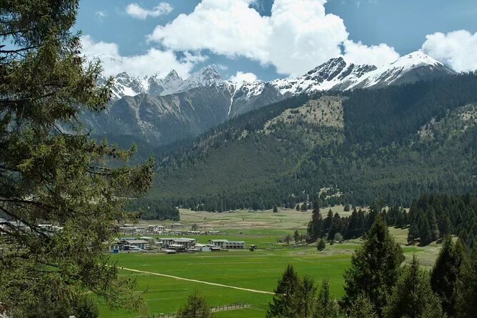 13 Day Classic Tibet Tour on Flight and Soft Sleeper Train - Day 4: Potala Palace, Jokhang Temple, and Barkhor Street