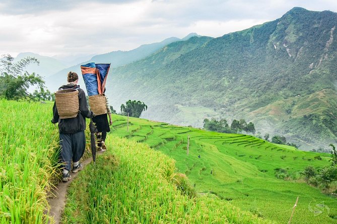 2-Day Amazing Sapa Trek With Sleeper Train From Hanoi - Overnight At Hotel - Lunch, Ta Van, and the Giay connection