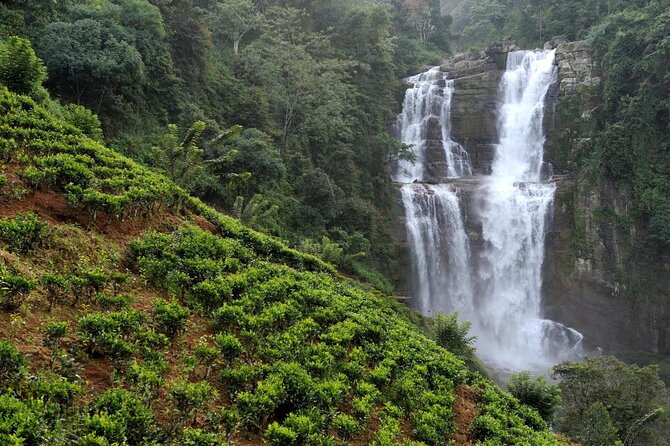 2 Day Tour of Yala & Ella with Hill Country Scenic Train Ride - All Inclusive - Key points to know before booking