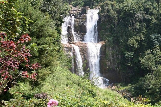 2 Day Tour of Yala & Ella with Hill Country Scenic Train Ride - All Inclusive - Meals, hotel, and the practical rhythm