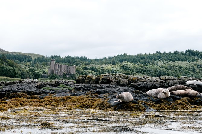 3-Day Isle of Skye, 'Hogwarts Express' Train and Highlands Tour - Who will enjoy this tour most