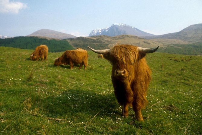 3-Day Isle of Skye, 'Hogwarts Express' Train and Highlands Tour - Should you book the Isle of Skye and Jacobite train tour?
