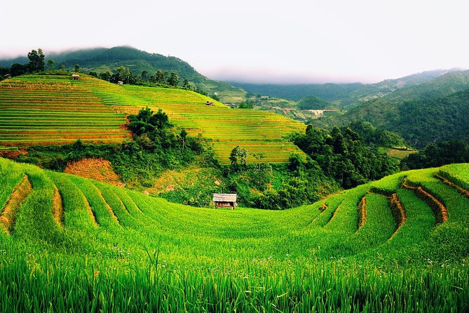 3 Days Sapa Tour with Night Train from Hanoi - The first trek through Sapa’s terraced countryside
