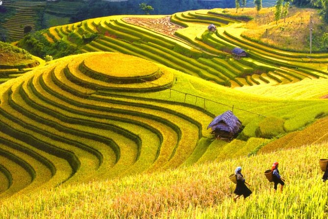 3 Days Sapa Tour with Night Train from Hanoi - Meals and the included hotel stay