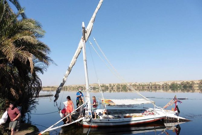 9-Day Nile Adventure Tour with Sleeper Train to Aswan from Cairo - Kom Ombo and Edfu by way of Luxor