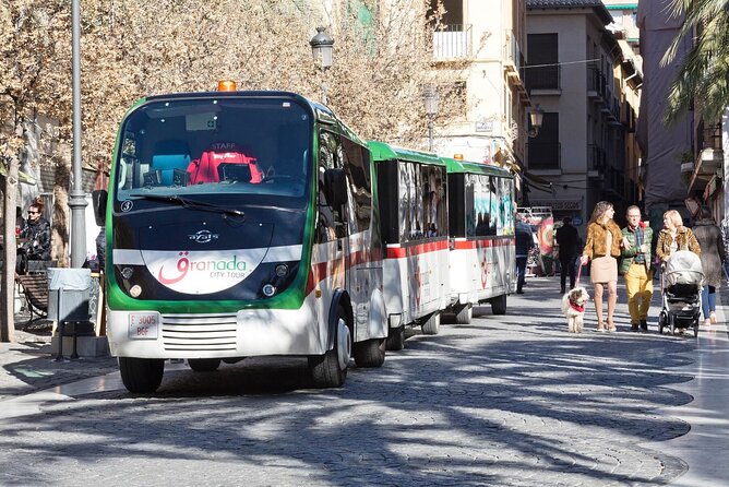 Alhambra tickets with Nasrid Palaces + Tourist Train - What you actually get at the Alhambra