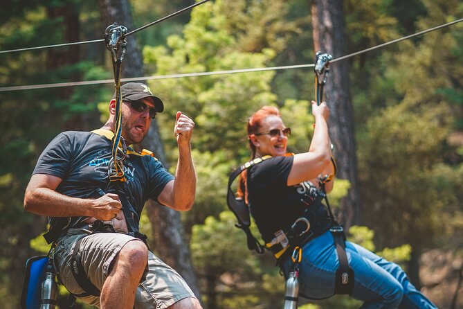 All-Day Guided Zipline Tour with Train Ride and Lunch in Durango - Forest lessons among old-growth Ponderosa trees