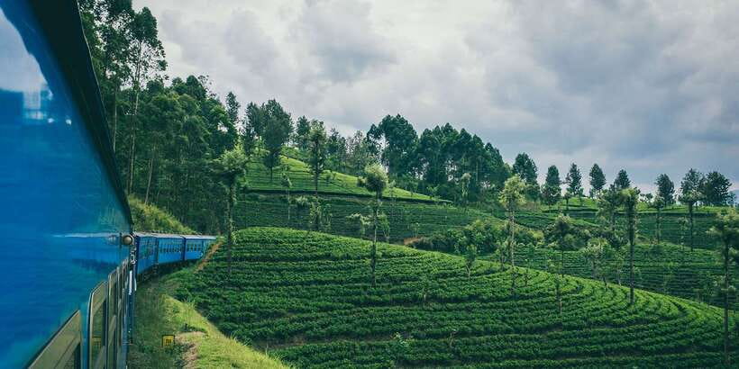 All Inclusive Ella From/To Kandy Scenic Train Journey - What the train journey is really like