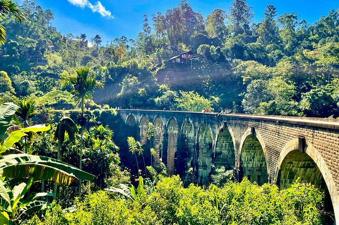 All inclusive private Ella Day Tour with Train Ride & Teafactory - Uva Halpewatte Tea Factory and Ceylon Tea