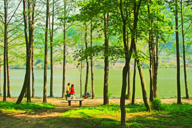 Alpaca World and Nami Island with Gangchon Rail Bike Tour - Why this day trip works