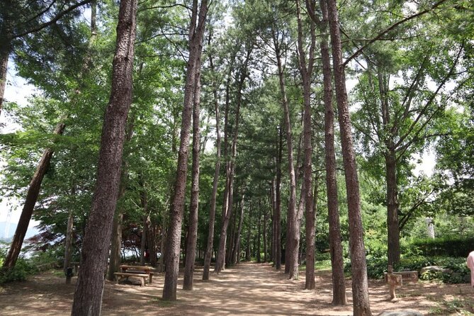 Alpaca World and Nami Island with Gangchon Rail Bike Tour - Gangchon Rail Park: the day’s most memorable ride