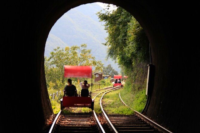 Alpaca World and Nami Island with Gangchon Rail Bike Tour - Nami Island: tree-lined roads and film connections