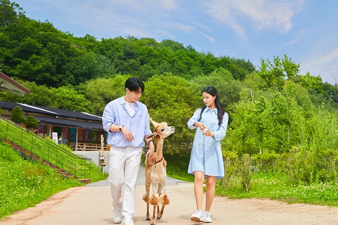 Alpaca World with Gangchon Rail Park One Day Tour - Starting from Hongik Univ. Station