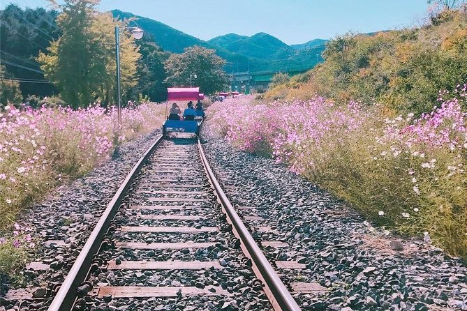 Alpaca World with Gangchon Rail Park One Day Tour - Pedaling beside the Bukhangang River