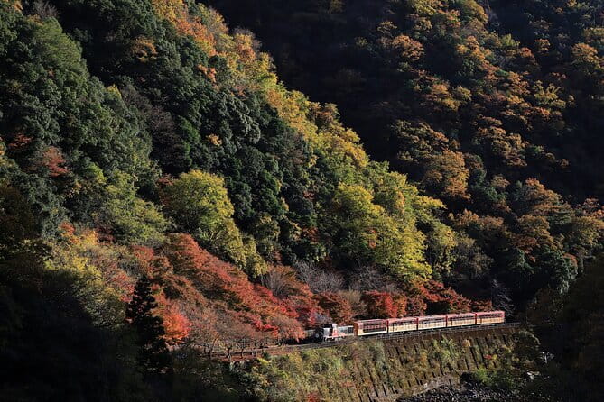 Arashiyama Walking Tour with Optional Sagano Romantic Train Ride - Five details that shape the experience