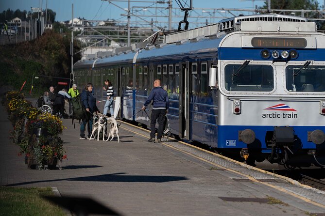 Arctic Train - The Northernmost Railway in Norway - Following the Ofoten Line toward Bjørnfjell