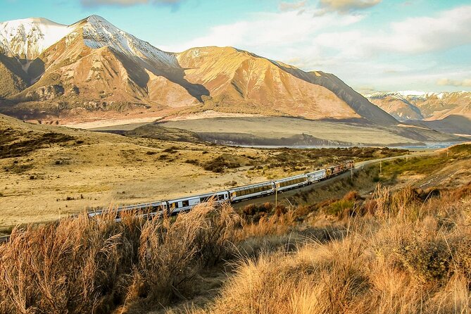 Arthur's Pass Discovery and TranzAlpine Train - Small Group Tour - Lunch, refreshments, and the road back