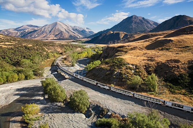 Arthur's Pass Discovery and TranzAlpine Train - Small Group Tour - The guides are a major part of the value