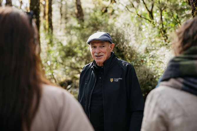 Arthur's Pass Discovery and TranzAlpine Train - Small Group Tour - Making the most of the train views