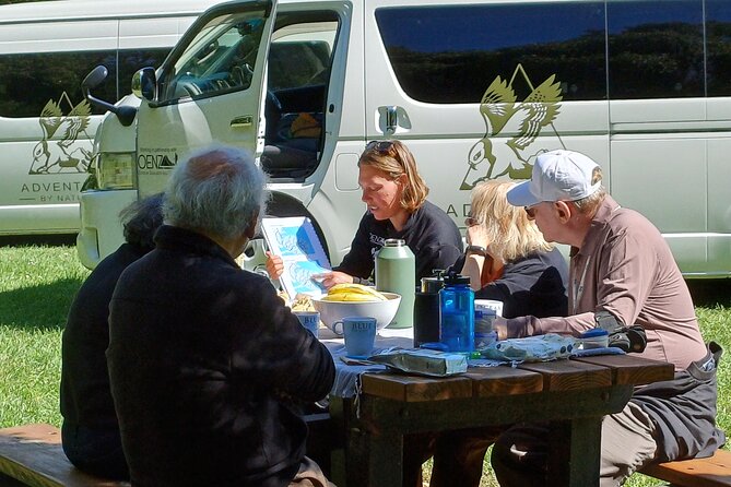 Arthur's Pass with optional TranzAlpine Train (Small Group Tour) - Castle Hill and Kura Tawhiti