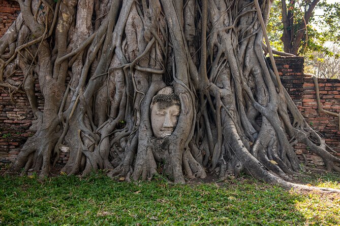 Ayutthaya, Maeklong Railway, Damnoen Saduak Floating Market - Wat Mahathat and Ayutthaya’s famous Buddha head