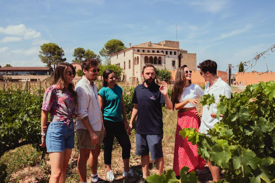 Barcelona: Montserrat with Winery, Lunch, and Train Options - Using your free time at Montserrat