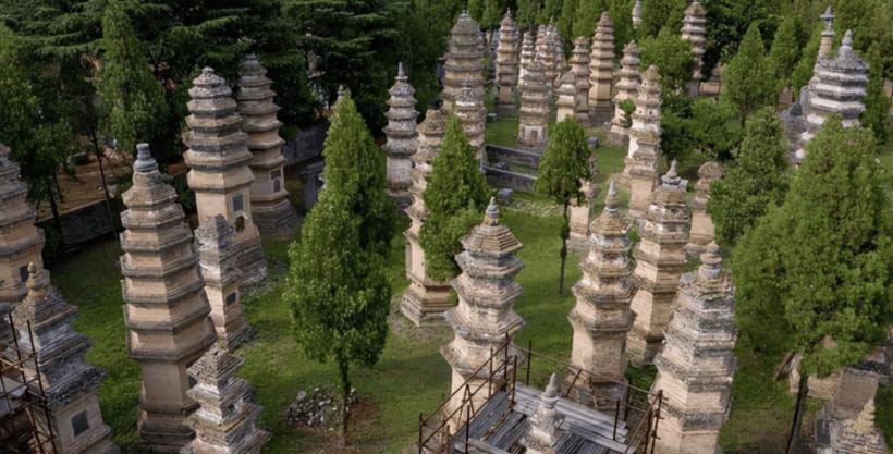 Beijing:Bullet Train Day Tour to Shaolin Temple&Martial Arts - The Kung Fu performance comes first