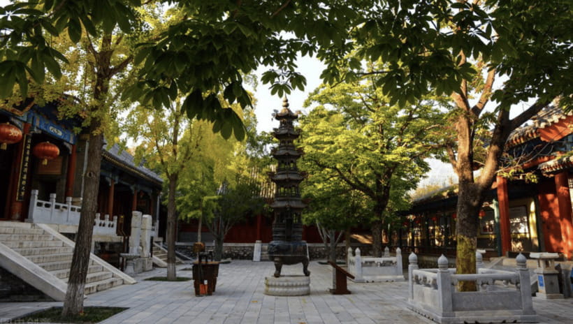 Beijing:Bullet Train Day Tour to Shaolin Temple&Martial Arts - The return to Beijing and the real cost of the day