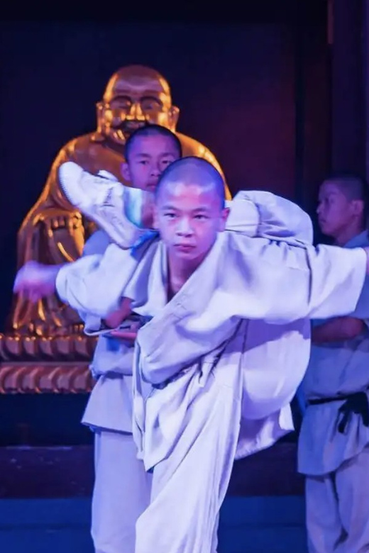 Beijing:Bullet Train Day Tour to Shaolin Temple&Martial Arts - Who should book this Shaolin day trip?