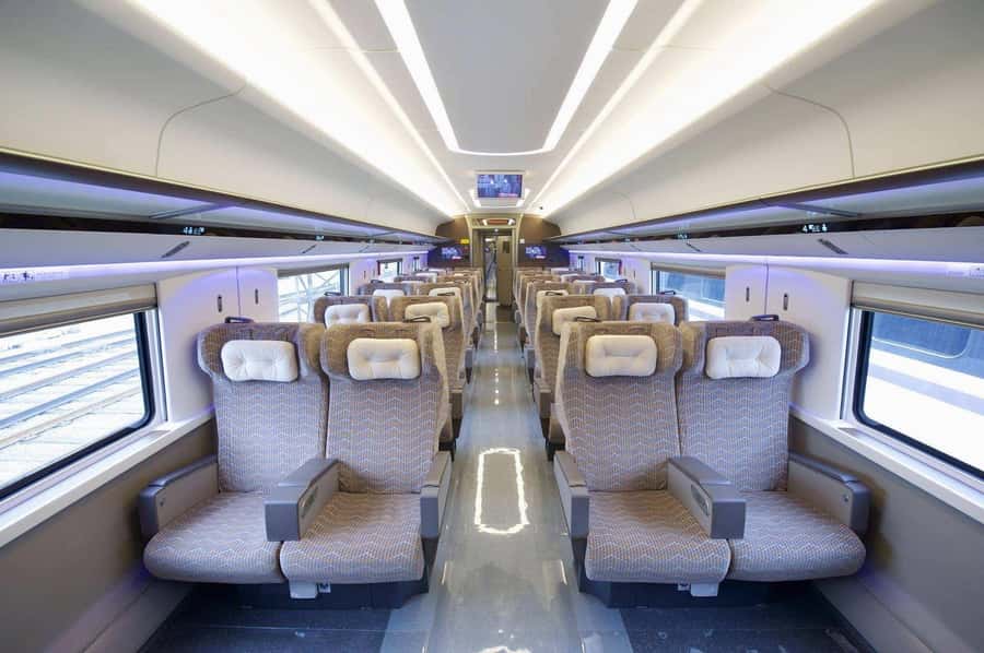 Beijing to Xi'an Terracotta Tour by Roundtrip Bullet Train - Who should book this experience?