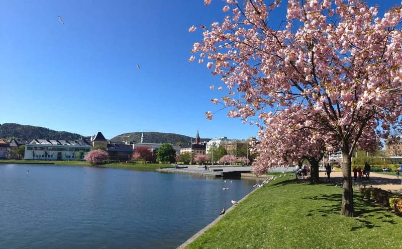 Bergen: Flam Railway, Viking Village Tour with Fjord Cruise - The Flåm Railway Museum and the story behind the route