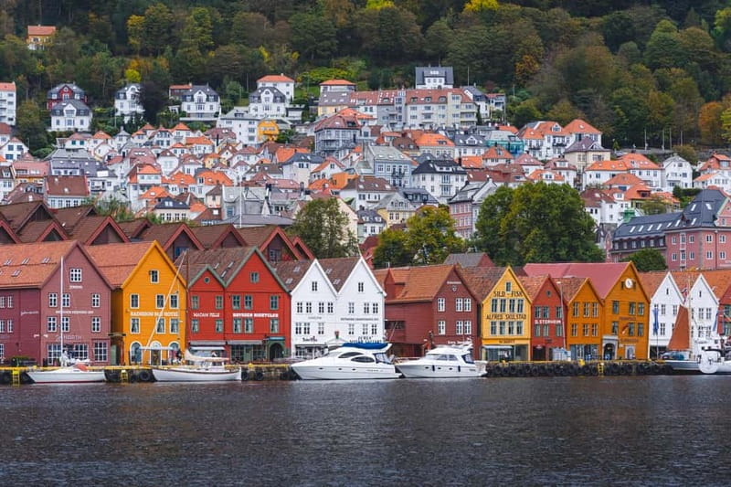 Bergen: Flam Railway, Viking Village Tour with Fjord Cruise - The Nærøyfjord cruise at water level