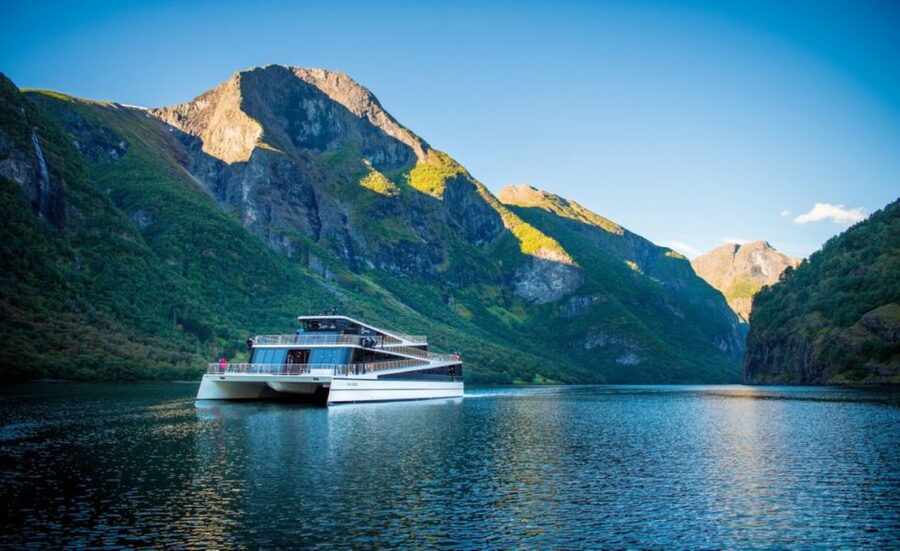 Bergen: Private Day Tour, Nærøyfjord Cruise and Flåm Railway - The two-hour Premium Nærøyfjord cruise