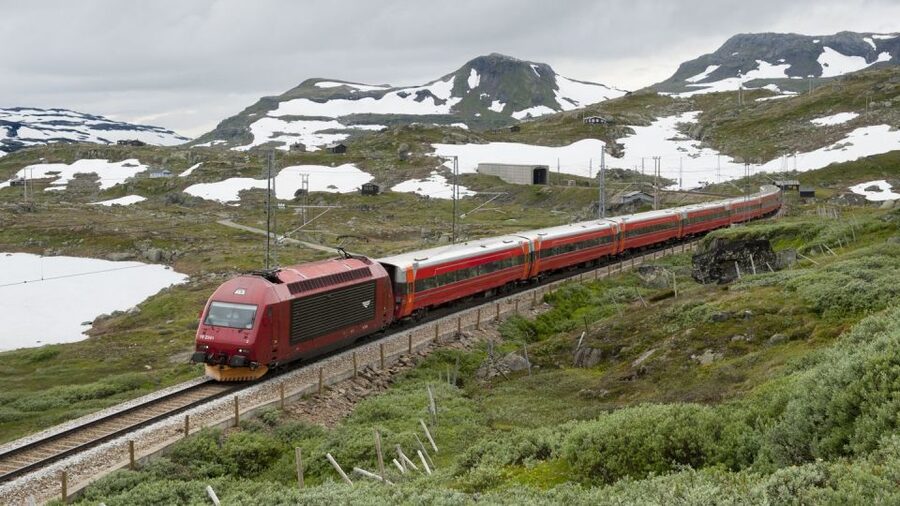 Bergen: Viking Village, Nærøyfjord Cruise & Flåm Railway - Who should book this day out?