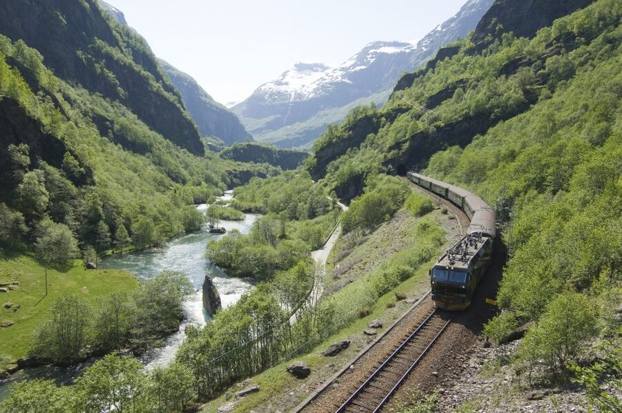Bergen: Viking Village, Nærøyfjord Cruise & Flåm Railway - What $418 buys you