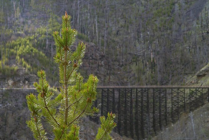 Bicyle Tour on Historical Kettle Valley Railway from Myra Canyon to Penticton - Rock ovens and the 489-meter Adria Tunnel