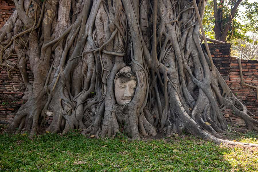 BKK: Ayutthaya, Maeklong Railway, Damnoen Saduak Floating - Who will get the most from this tour