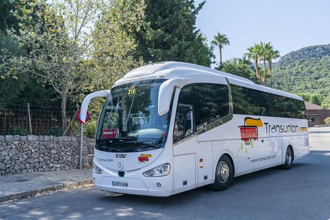 Boat, Tram and Train Tour in Mallorca from the South - What the $121.52 price really covers