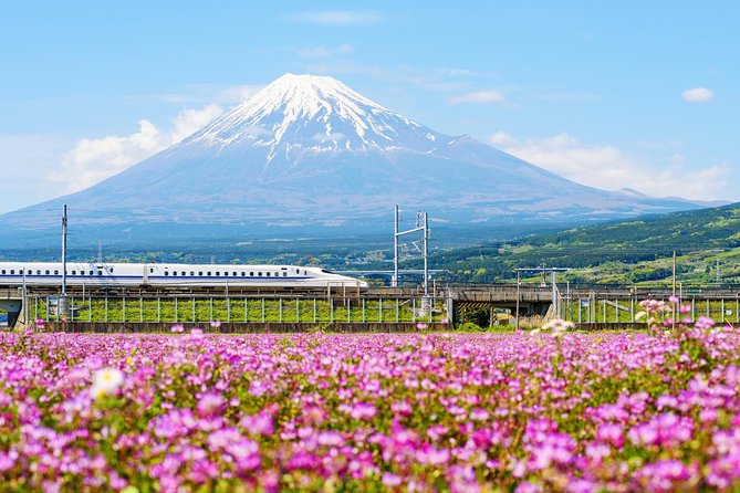Bullet Train and Mt. Fuji Famous Food Tour - Riding the bullet train with food on board