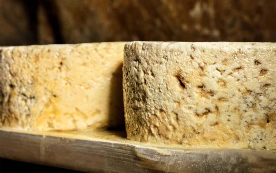 Bulnes: Excursion with funicular and Cabrales cheese cave in the Picos de Europa - Who will enjoy this day most?