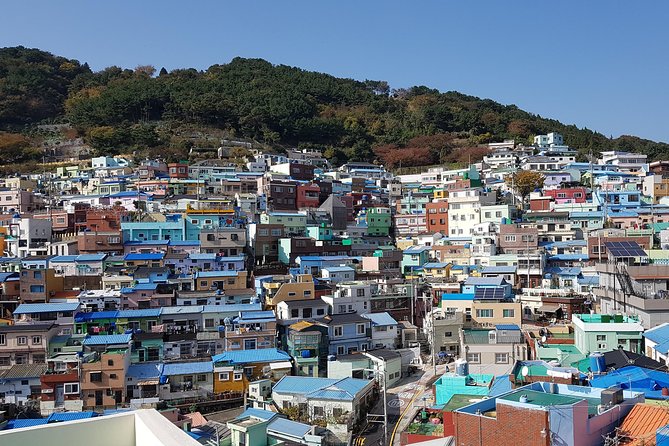 Busan city tour from Seoul by KTX bullet train - The real value of a Seoul to Busan day trip