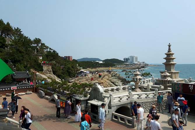 Busan city tour from Seoul by KTX bullet train - Jagalchi Market: Busan’s working waterfront