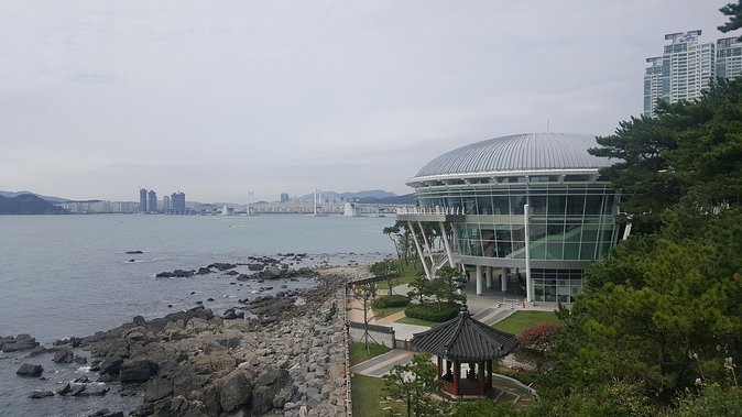 Busan city tour from Seoul by KTX bullet train - What the private format changes
