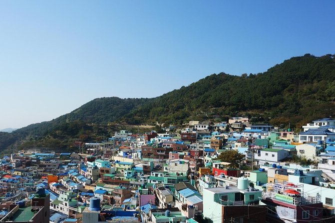Busan day trip including Gamcheon culture village from Seoul by KTX train - Key points to know before booking