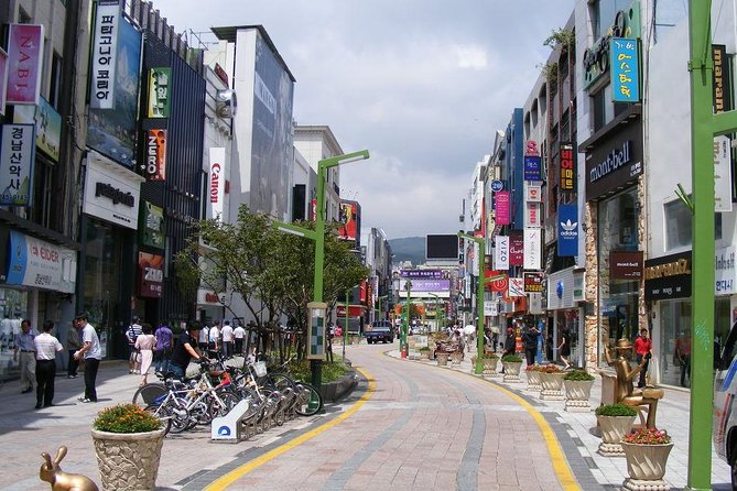 Busan day trip including Gamcheon culture village from Seoul by KTX train - Hwangnyeongsan Mountain: Busan from above
