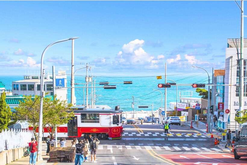 Busan: Full-Day City Tour with Taejongdae, Gamcheon & More - Why this Busan day tour works