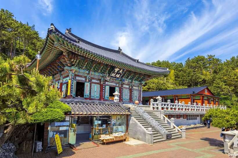 Busan: Full-Day City Tour with Taejongdae, Gamcheon & More - Who will get the most from this tour?