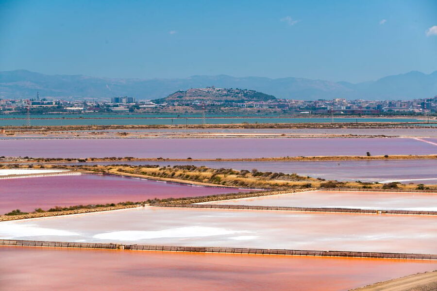Cagliari: Conti Vecchi Salt Flats Train and Tour - Key points to know before you go