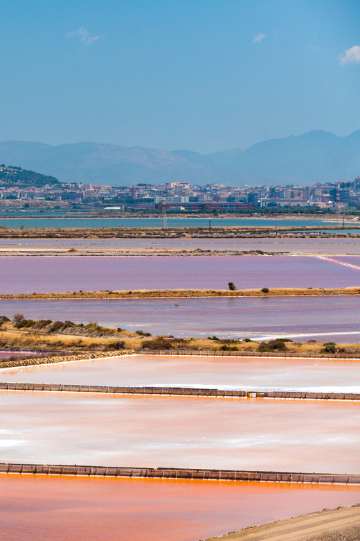 Cagliari: Conti Vecchi Salt Flats Train and Tour - Who should book the Conti Vecchi Salt Flats tour?
