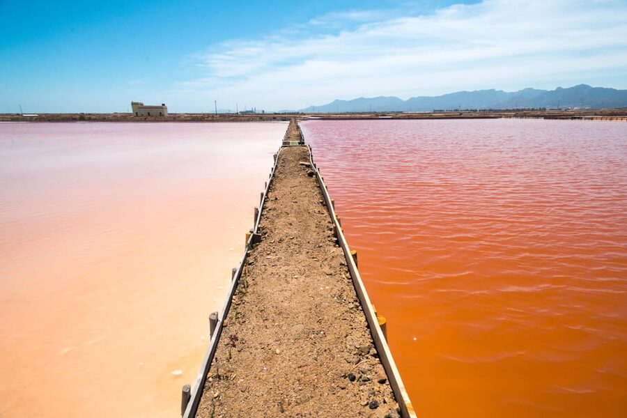 Cagliari: Conti Vecchi Salt Flats Train and Tour - The one-hour train ride into Santa Gilla Basin
